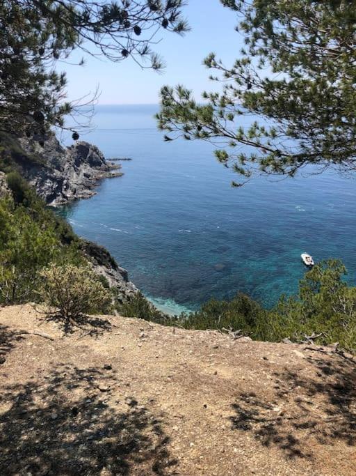 Charmant Studio Dans Villa - Parking - Jardin La Seyne-sur-Mer Kültér fotó